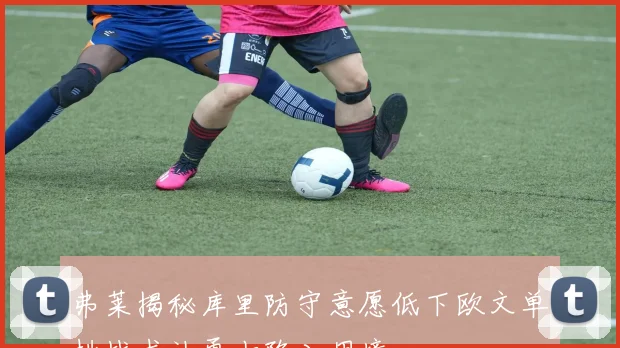 弗莱揭秘库里防守意愿低下欧文单挑战术让勇士陷入困境